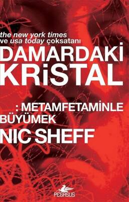 Damardaki Kristal: Metamfetaminle Büyümek - 1