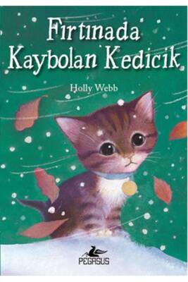 Fırtınada Kaybolan Kedicik - 1