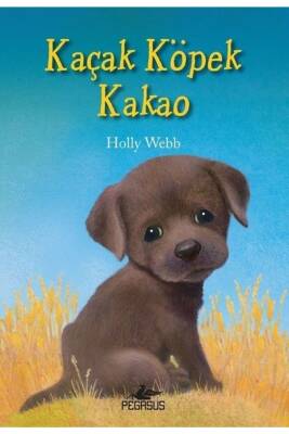 Kaçak Köpek Kakao - 1