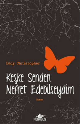 Keşke Senden Nefret Edebilseydim - 2