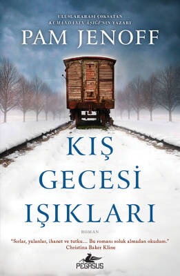 Kış Gecesi Işıkları - 2