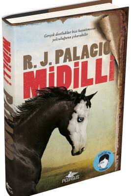 Midilli - 1