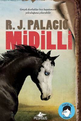 Midilli - 1