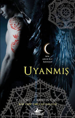 Uyanmış Bir Gece Evi Romanı - 2