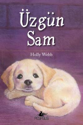 Üzgün Sam - 1