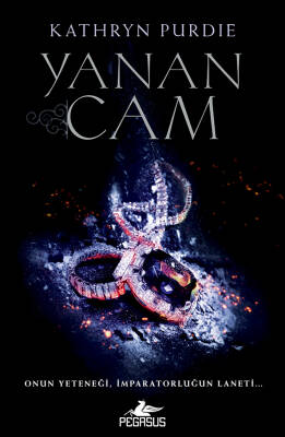 Yanan Cam - 1